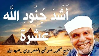 أشد جنود الله عشرة//الشيخ محمد متولي الشعراوي رحمه الله.