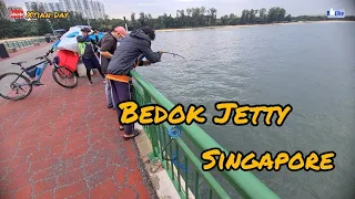 Big Fish Caught in Bedok Jetty at East Coast for Angling / Fishing