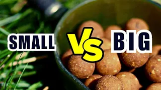 When to Go For Small 🆚 When to Go For Big Baits?