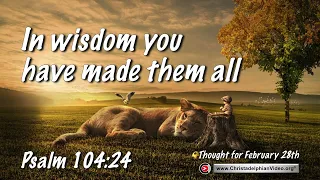 Thought for February 28th "In wisdom you have made them all"  Psalm 104:24