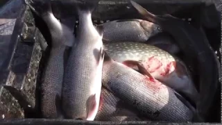 рыбалка на Колыме