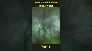 Most Haunted Places in the World | The Hoia Baciu Forest #hauntedplace #forest #shorts #Raavann