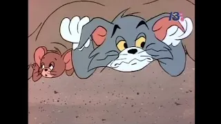 El Show de Tom y Jerry (1975) - No Bones About It (Español Latino) + Intro