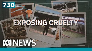 Exposing Australia’s live export shame | 7.30