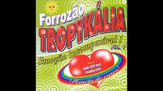 Forrozão Tropykalia - 2004 - Vol 07 - Planeta de Cores  #CD655