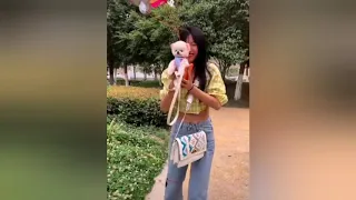 Tik Tok Chó Phõc Sóc Mini Funny and Cute Pomeranian Videos
