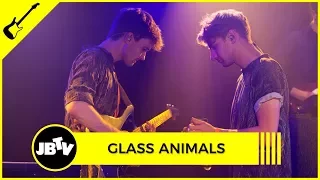 Glass Animals - Cocoa Hooves | Live @ JBTV