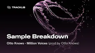 Sample Breakdown: Otto Knows - Million Voices