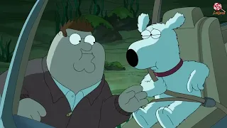 Family Guy 2022 Dark Humor Dirty Joke Compilation | The Funniest Family Guy Moments! #43