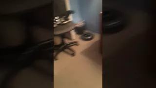 The torture for a Roomba