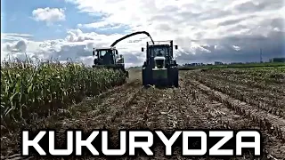 🔥2 ODWOZY VS 1,5KM?!?🔥OPOROWA KUKURYDZA NA KISZONKĘ 2022🔥2x CLAAS, JOHN DEERE, BELARUS, MF🔥AGROVLOG🔥