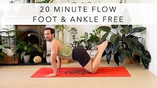 Foot and Ankle Free Vinyasa Yoga Flow: Total body Strengthening