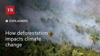 How deforestation impacts climate change