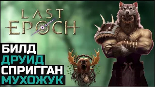 Билд Друид Last Epoch 0.8.4 | Ледяной Спригган Мухожук