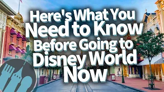 What You Need to Know Before You Go to Disney Right Now!