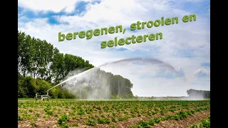 Beregenen, kunstmest strooien, pootaardappelen selecteren. (nr. 9)