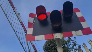 *Misuse & dodgy alarm* Dunmurry Glebe Road Level Crossing (Belfast) Thursday 25/03/21