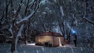 Solo Camping in Heavy Snow with My Dog . Relaxing in the Hot Tent . Wood Stove ASMR