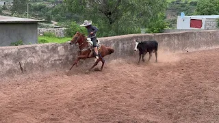 Rodeo en Cueva Grande 30 agosto película completa