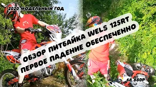 ОБЗОР ТОПОВЫЙ ПитБайк 2020!  WELS 125RT Top PitBike 2020! Browse