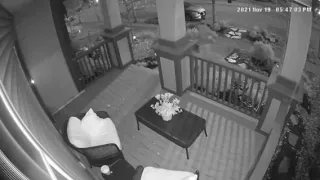 Coquitlam RCMP - Give porch pirates the boot