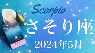 【さそり座】2024年5月♏️浮上！1番暗い時は過ぎ去った！何年かぶりの虹を見る、機が熟す、実りの喜びを分かち合うハッピーエンド