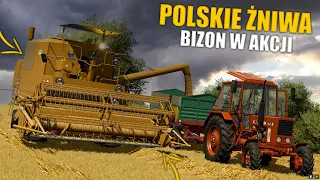 🌾Polskie Żniwa😱 RYK BIZONA 😍 FS22 ✓