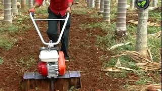 Rotary Tiller or Power Weeder