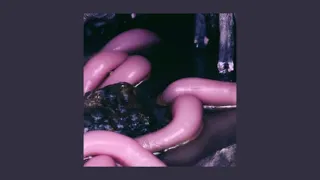 LEECHES - melanie martinez (sped up)