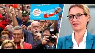 Alice Weidel: AfD-Frontfrau über den Begriff „Entsorgung“