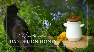 Slow Living | How to make Dandelion Honey | Simple Living | Vegan Recipes | Life in Ireland