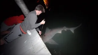 Dock Fishing DISASTER! -- Big Shark Takes Us Under! (Florida Send DAY 2)