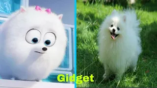 The Secret life of pets characters in real life