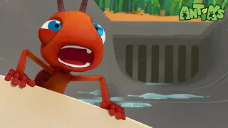 Insane in the Drain | 🐛 Antiks 🐜 | Funny Cartoons for Kids | Moonbug