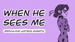 [ANIMATIC] Miraculous Ladybug  - When He Sees Me (Waitress)