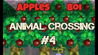 Animal Crossing Wild World #4