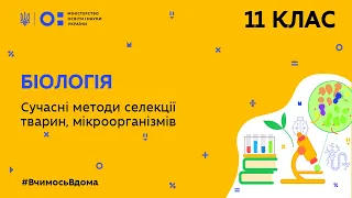 11 клас. Біологія. Сучасні методи селекції тварин, мікроорганізмів (Тиж.6:ВТ)