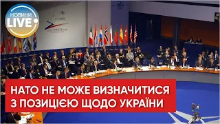 В НАТО немає єдності щодо питань переговорів України та росії / Путінська війна