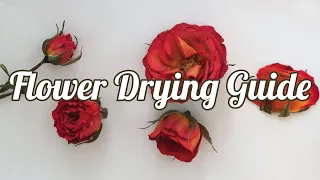 How to Dry Flowers: 4 Methods