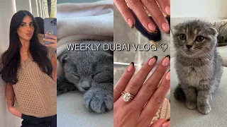 weekly dubai vlog ♡ becoming cat parents, hair transformation & home decor 🫶🏼
