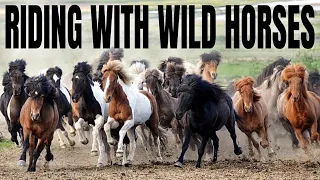 TAMING THE WILD:  Herding Icelandic Horses