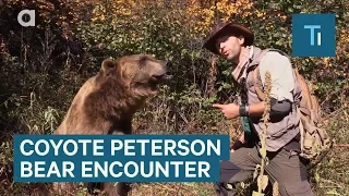 Coyote Peterson On What To Do If You Encounter A Bear In The Woods