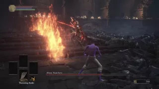 Consumables only Abyss Watchers