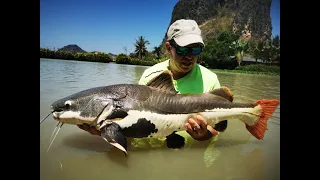 JURASSIC MOUNTAIN FISHING RESORT. Day 2 action. March 2021 Arapaima, Red tail catfish, Siamese carp.