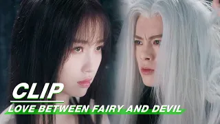 Orchid And Dongfang Qingcang Cut Each Other's Hair | Love Between Fairy and Devil EP02 | 苍兰诀 | iQIYI