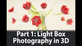 Light Box Photography in Three Dimensions | Part I: Introduction and Live Photography | Harold Davis