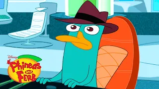 Perry's Best Moments | Compilation | Phineas and Ferb | @disneyxd