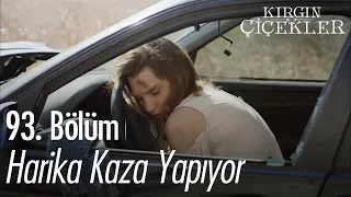 Harika kaza yapıyor - Kırgın Çiçekler 93. Bölüm