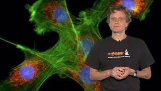 Microscopy: Introduction to Fluorescence Microscopy (Nico Stuurman)