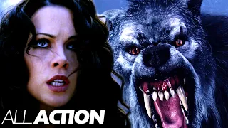 Werewolf on the Loose | Van Helsing | All Action